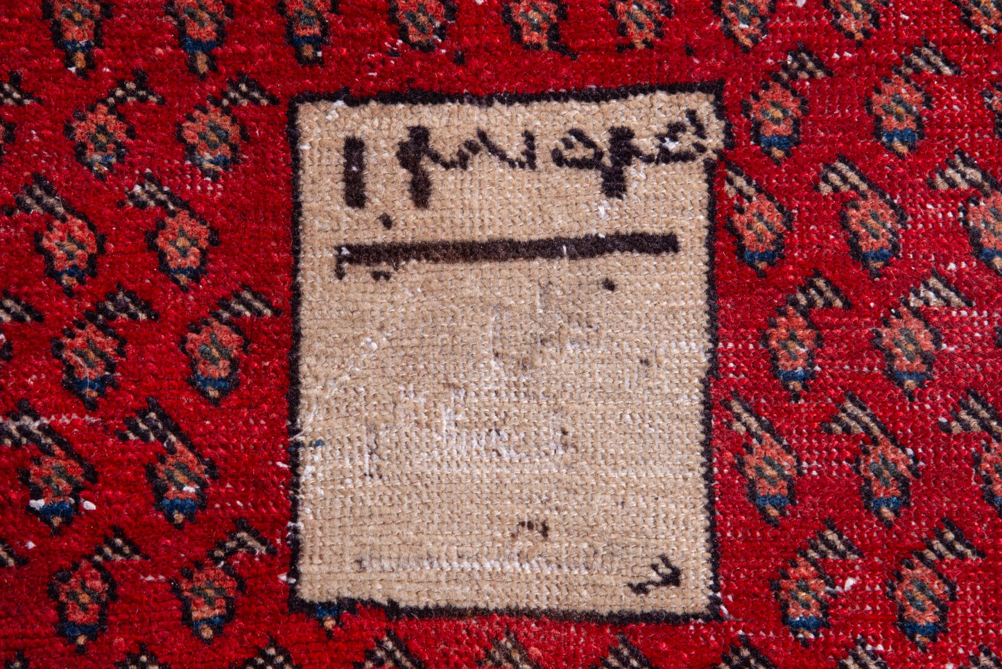 4101 - 3'3" x 4'9"