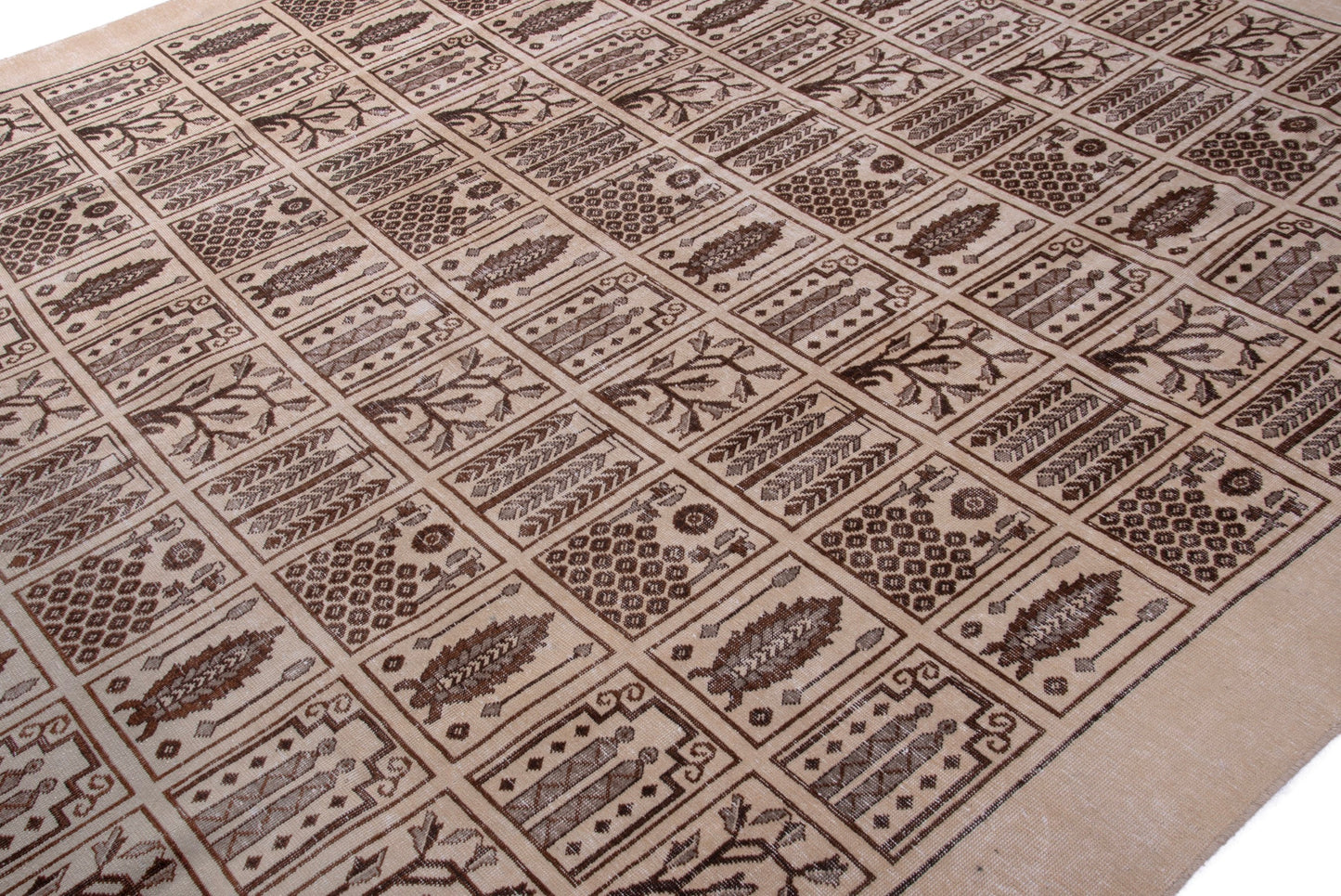 1465 - 9'9" x 11'11"