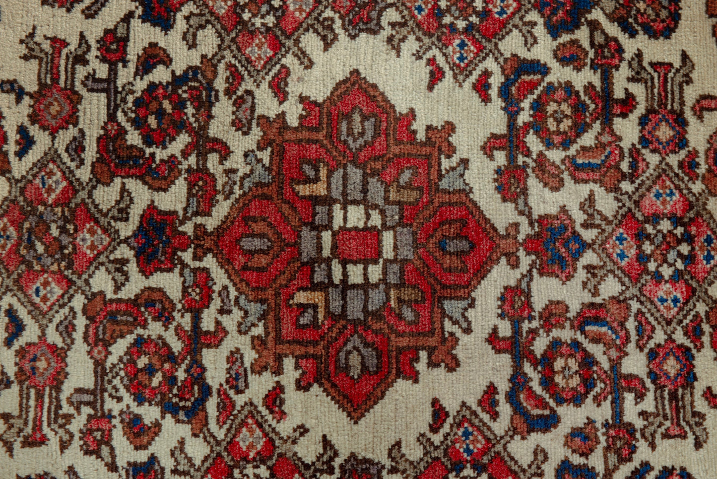 2282 - 1'11" x 2'11"