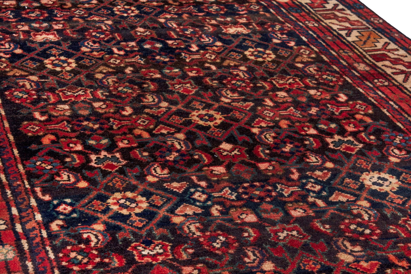 3131 - 3'11" x 8'10"