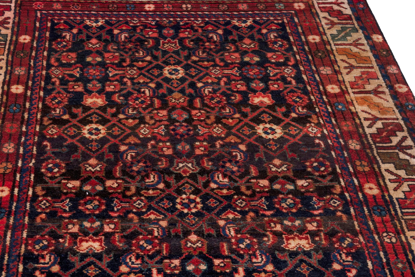 3131 - 3'11" x 8'10"