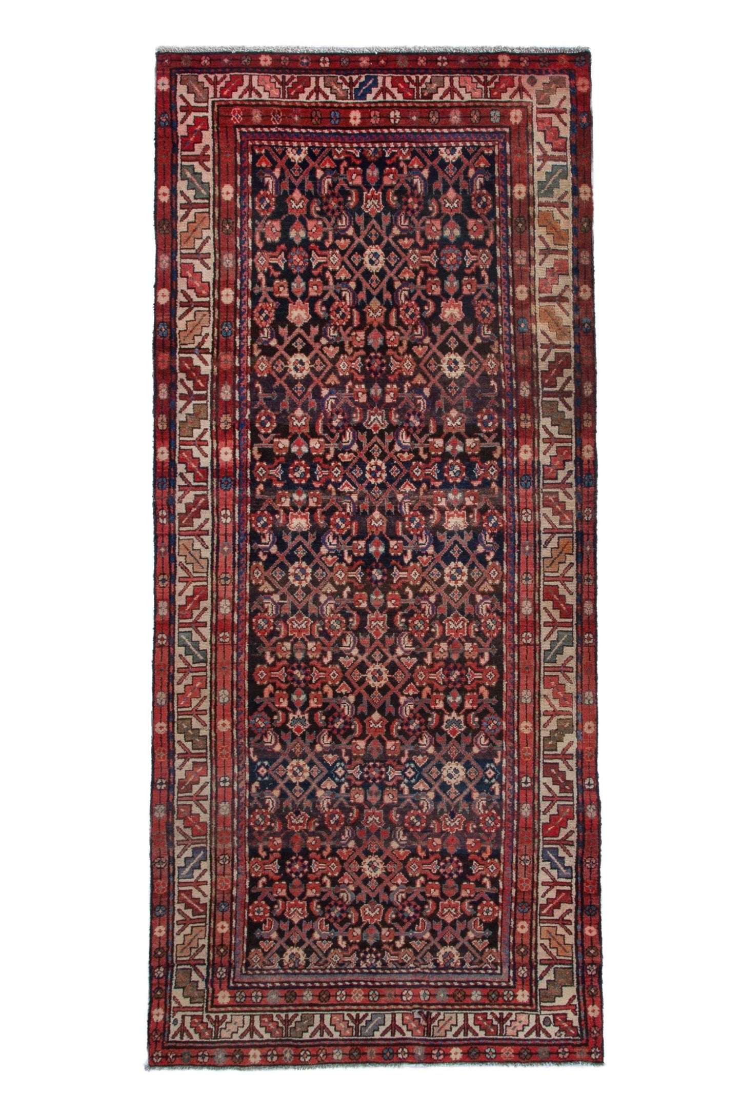 3131 - 3'11" x 8'10"