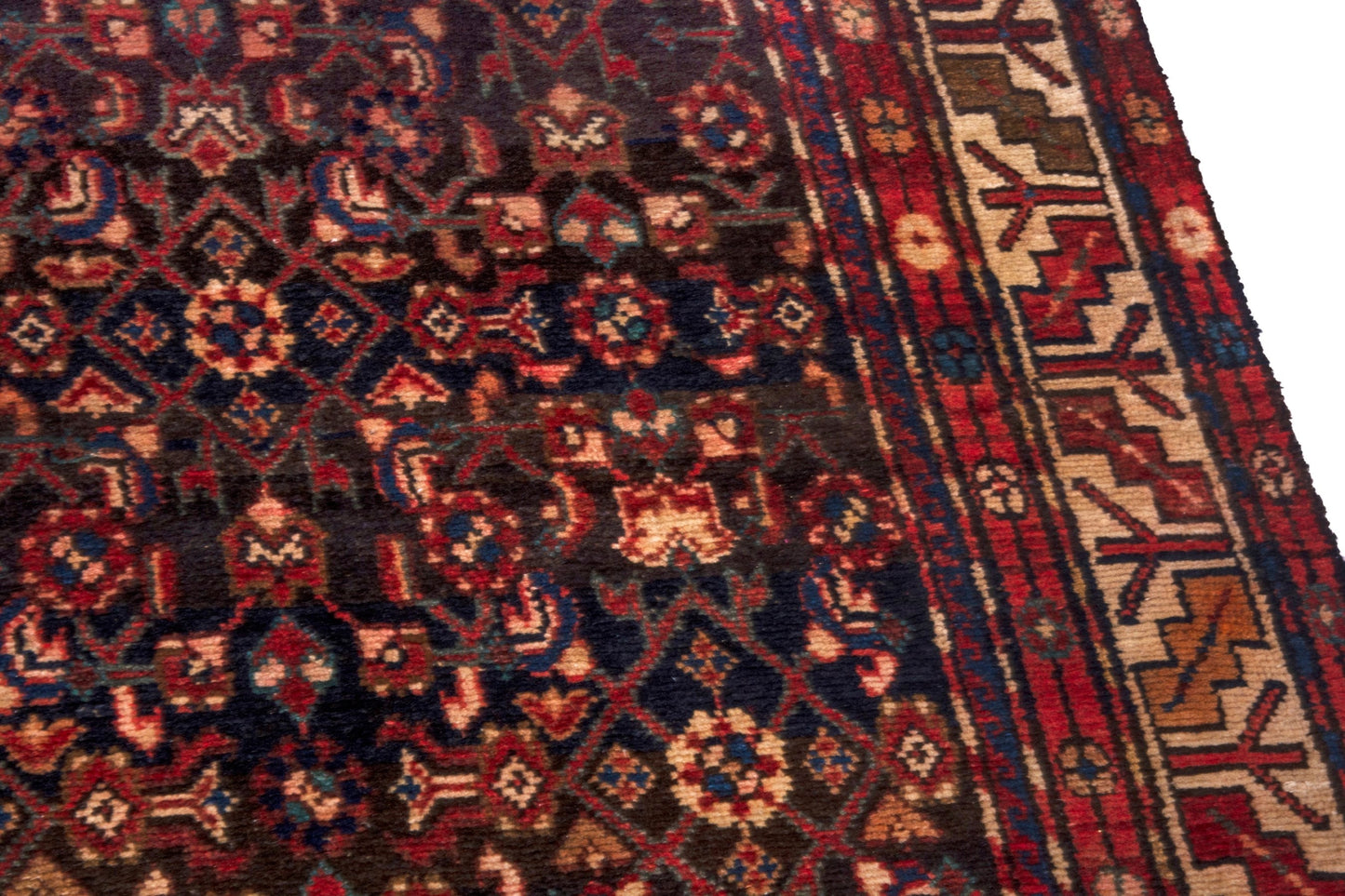 3131 - 3'11" x 8'10"