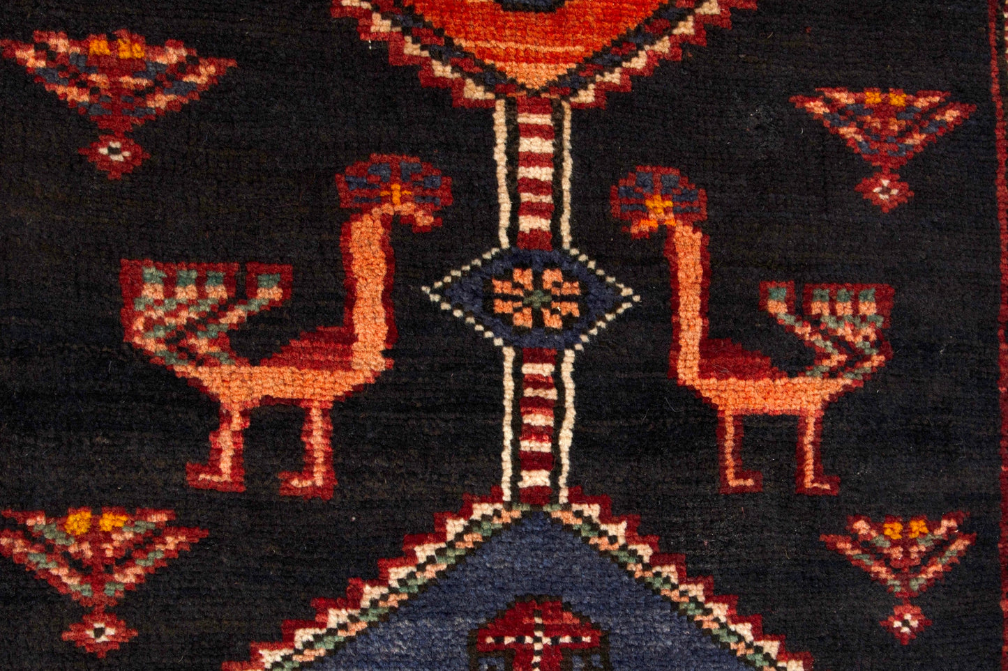 3146 - 2'6" x 11'10"