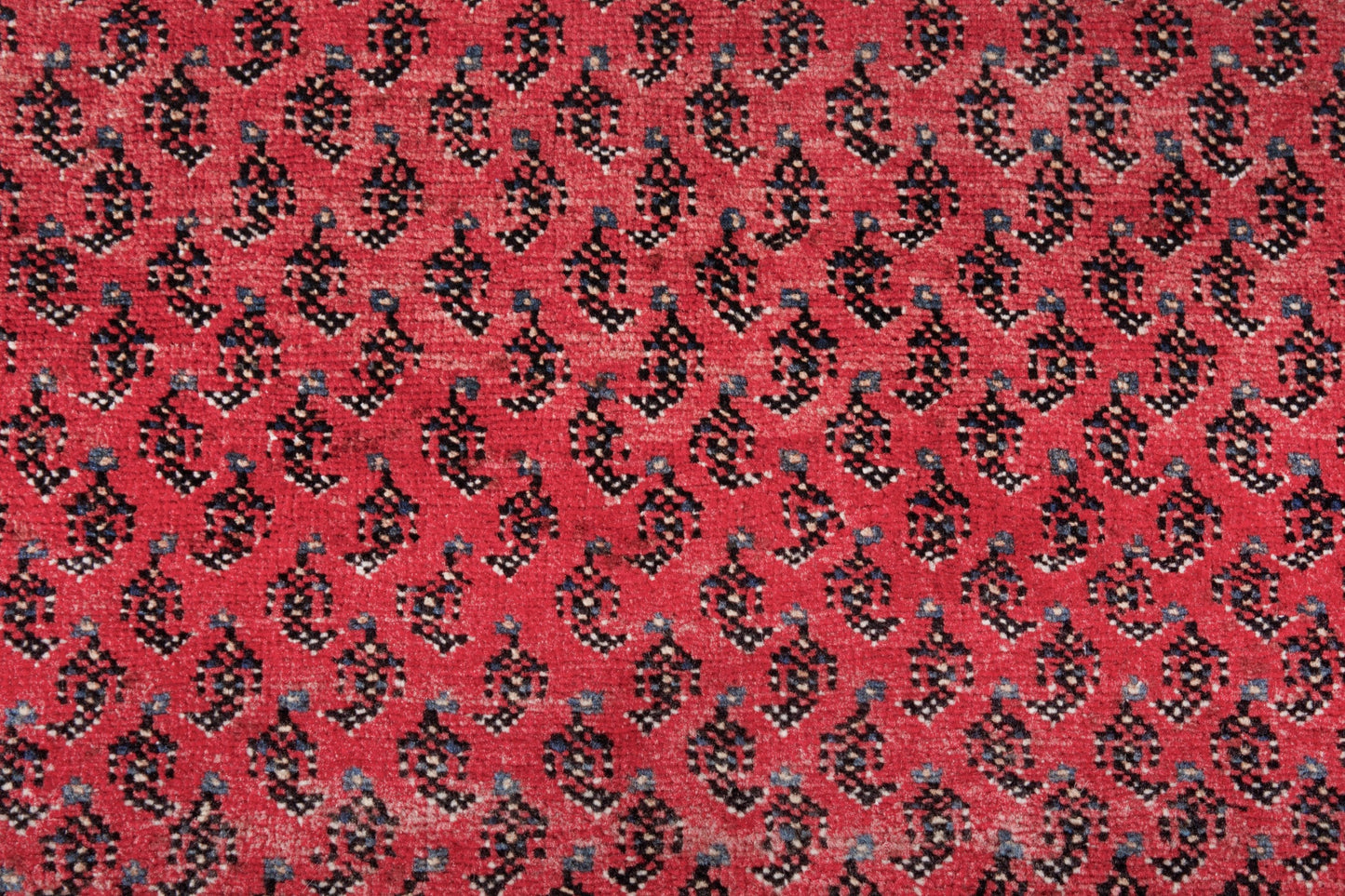 3171 - 3'10" x 10'4"