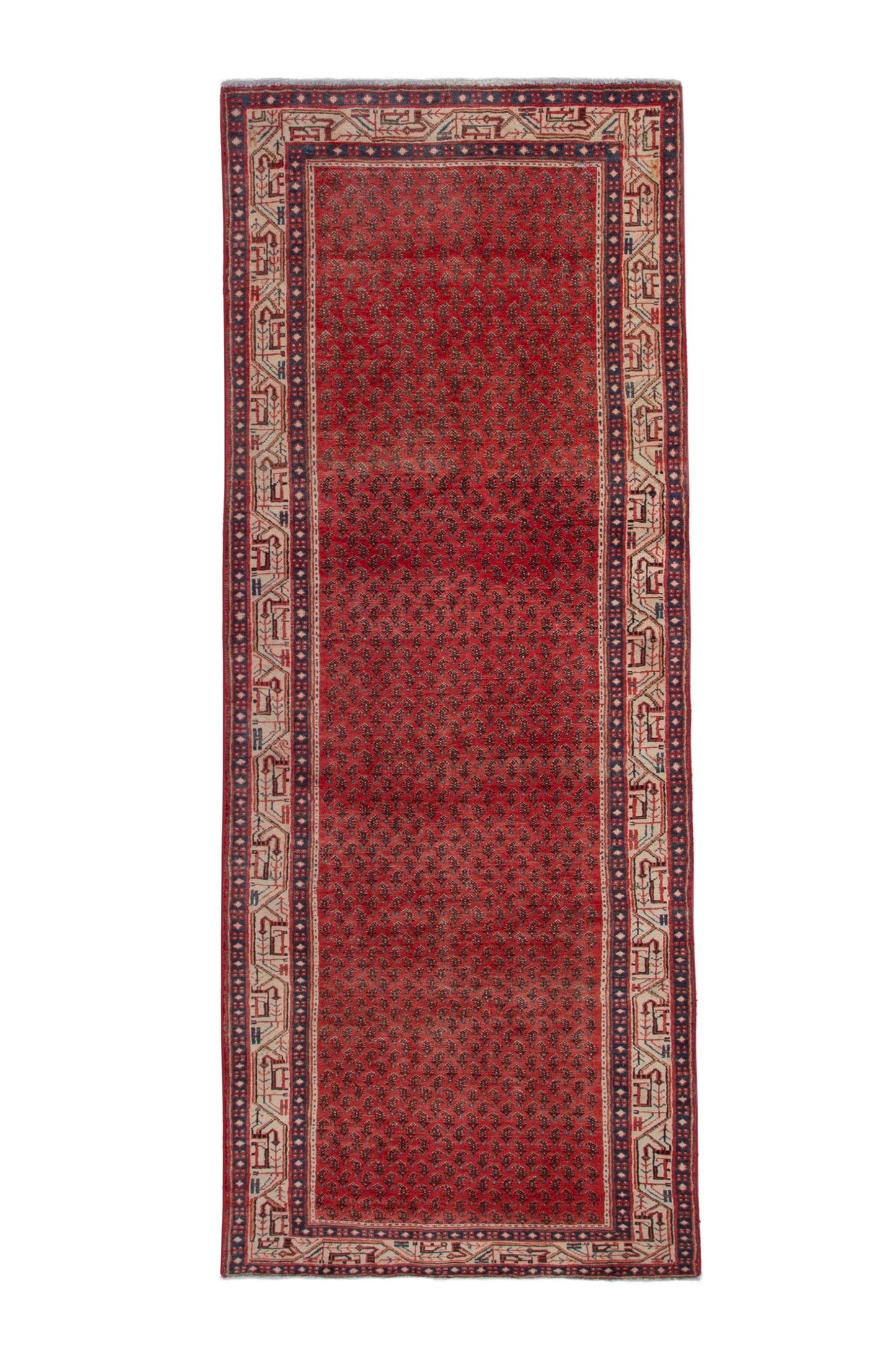 3171 - 3'10" x 10'4"