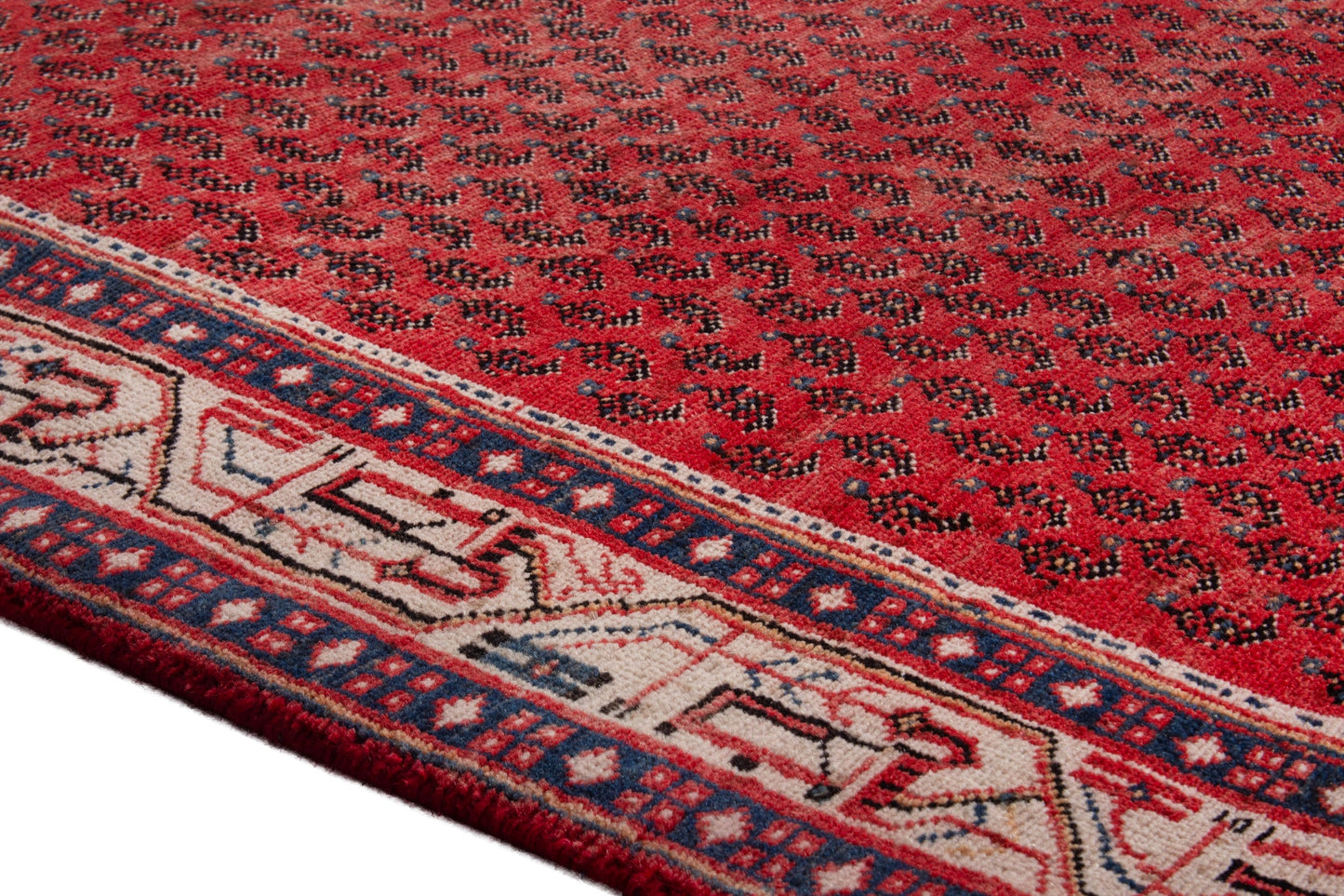 3171 - 3'10" x 10'4"