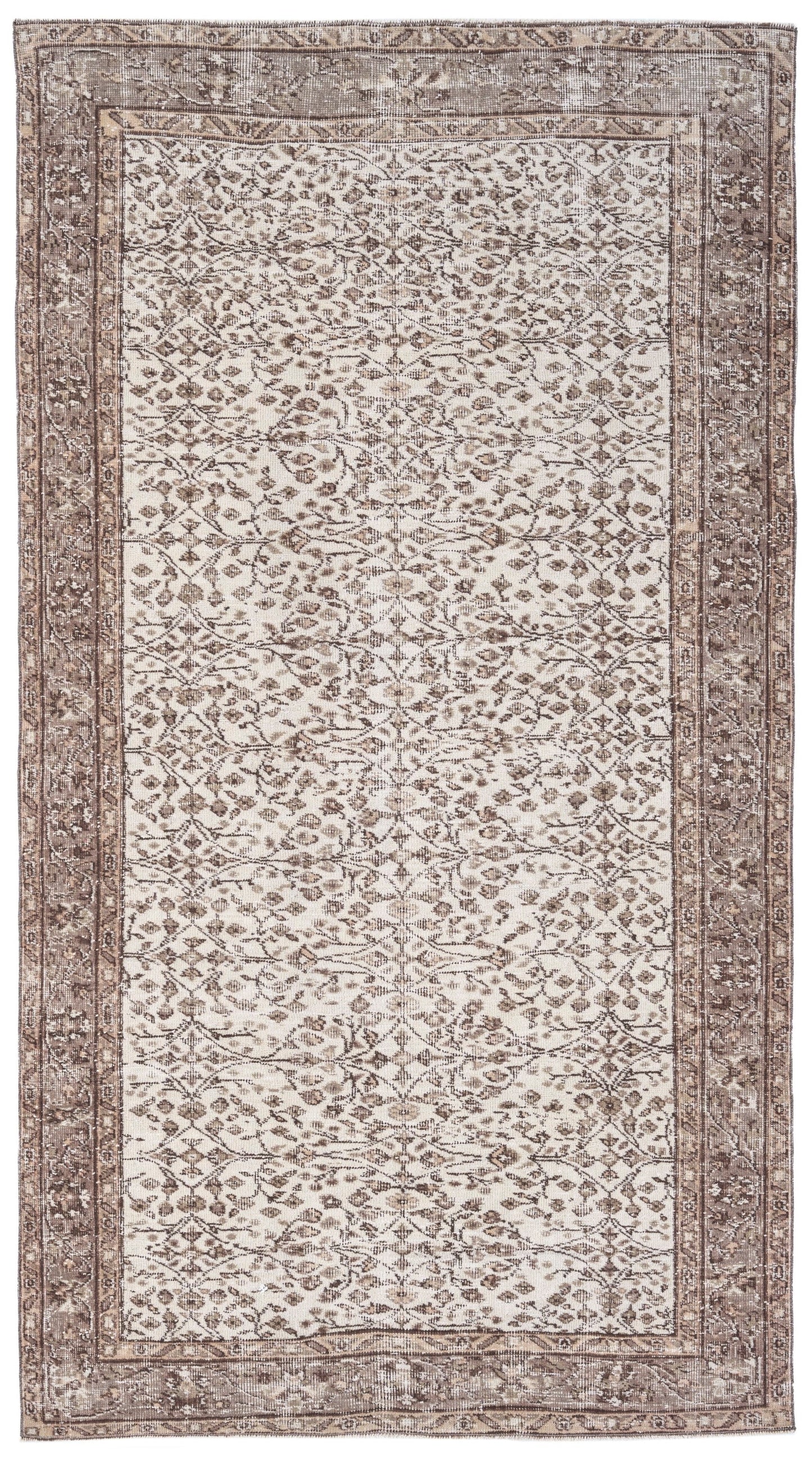 3215 - 4'8" x 8'2"