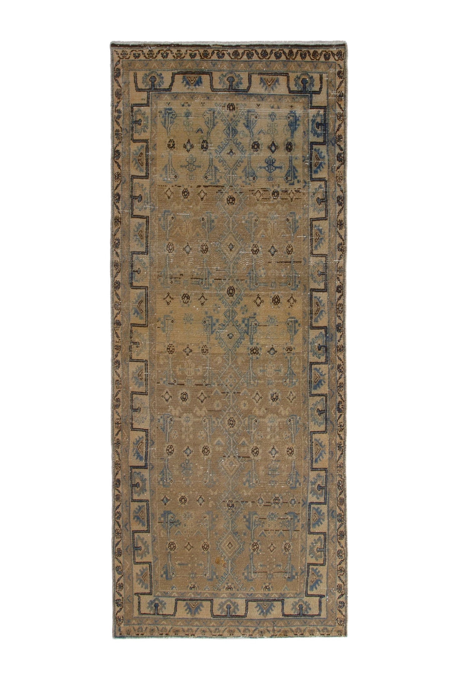 6428 - 3'9" x 10'1"