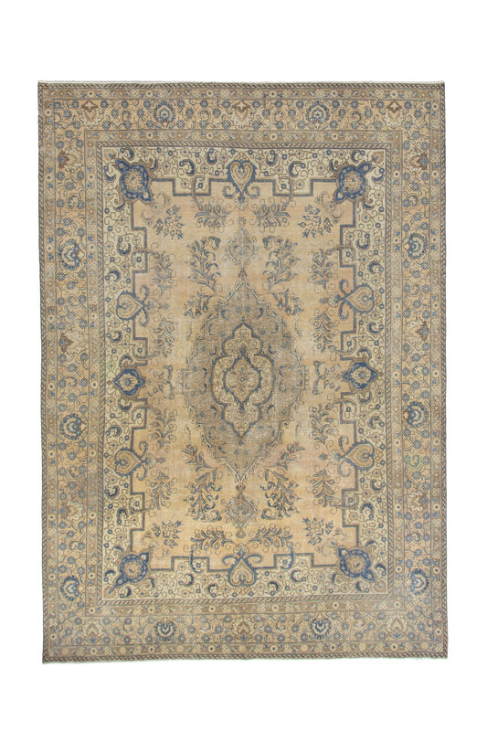 3512 - 8'11" x 12'10"