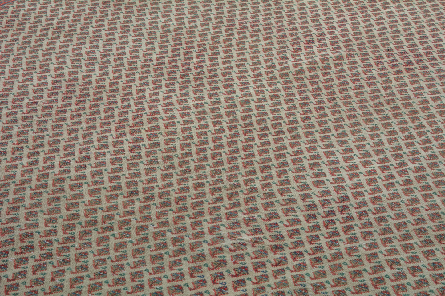 6529 - 9'2" x 12'4"