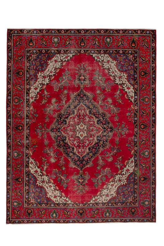 3533 - 9'11" x 13'1"