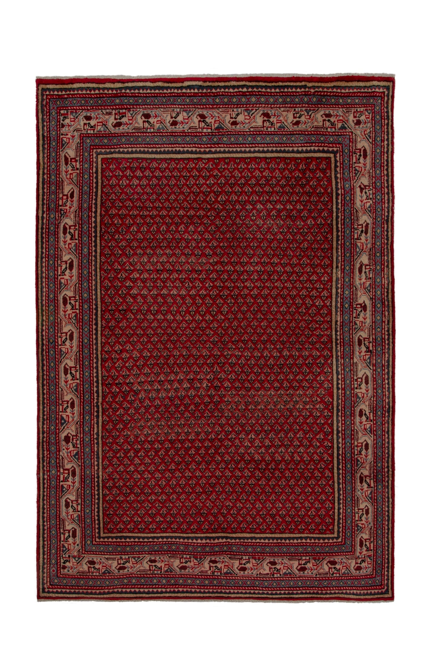 3739 - 7'3" x 10'11"