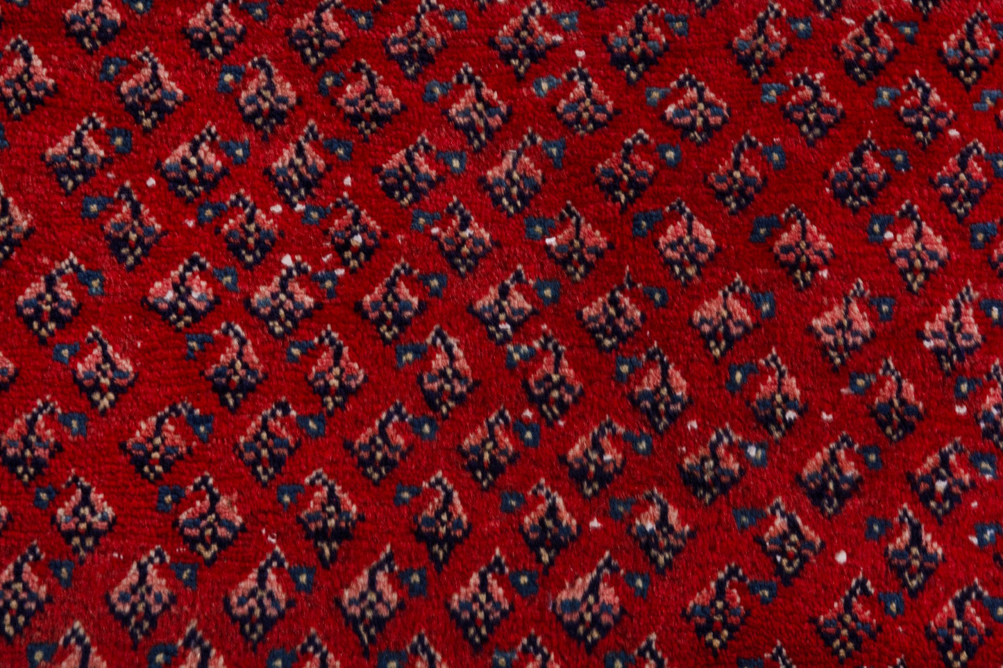 4115 - 7'9" x 10'11"