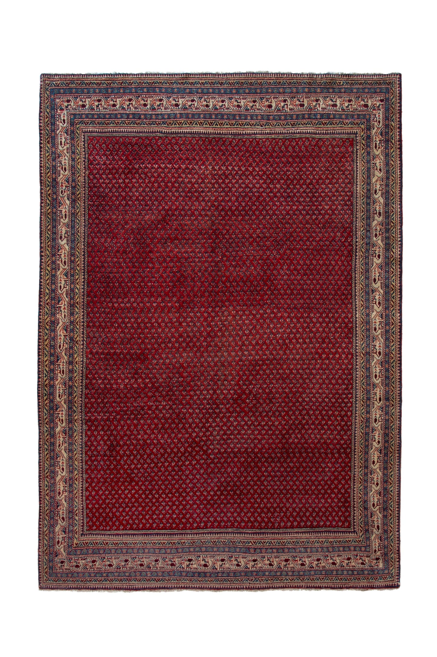 4115 - 7'9" x 10'11"