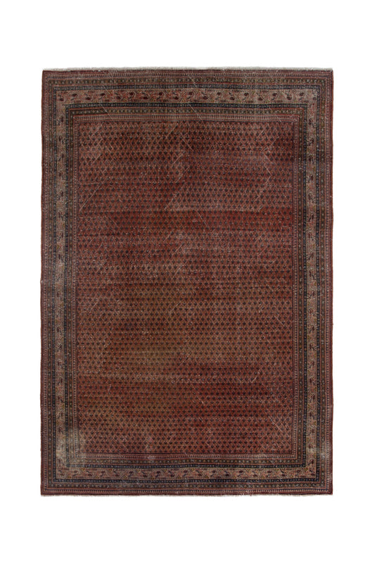 4137 - 6'7" x 10'10"