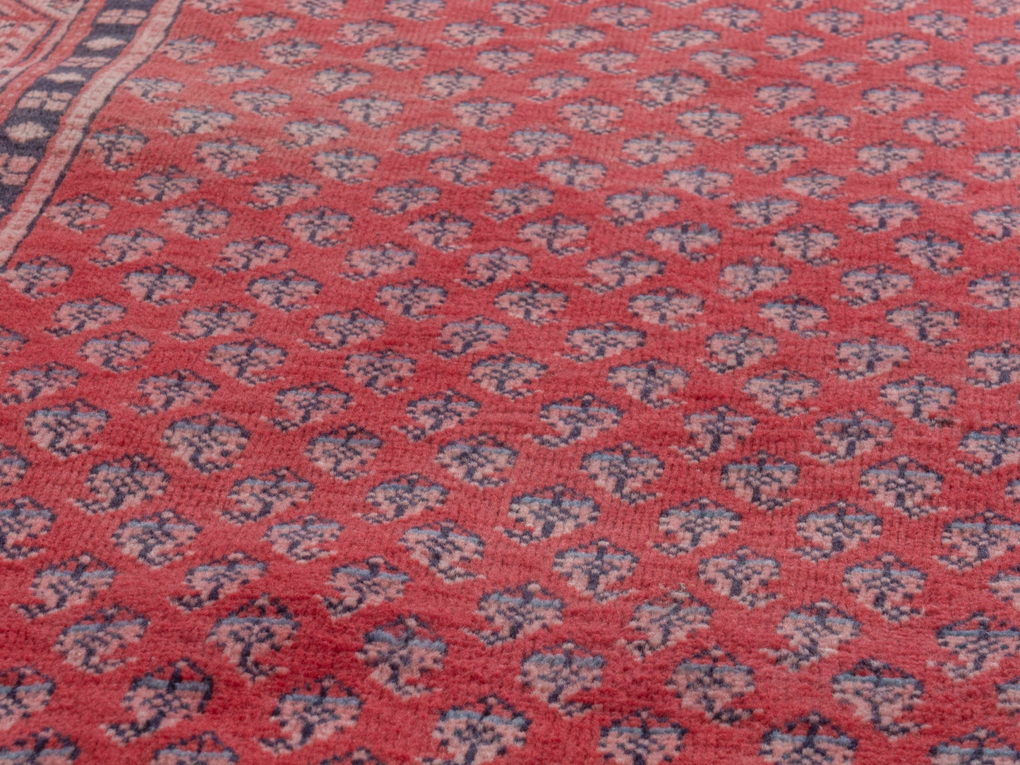 4377 - 2'11" x 9'10"