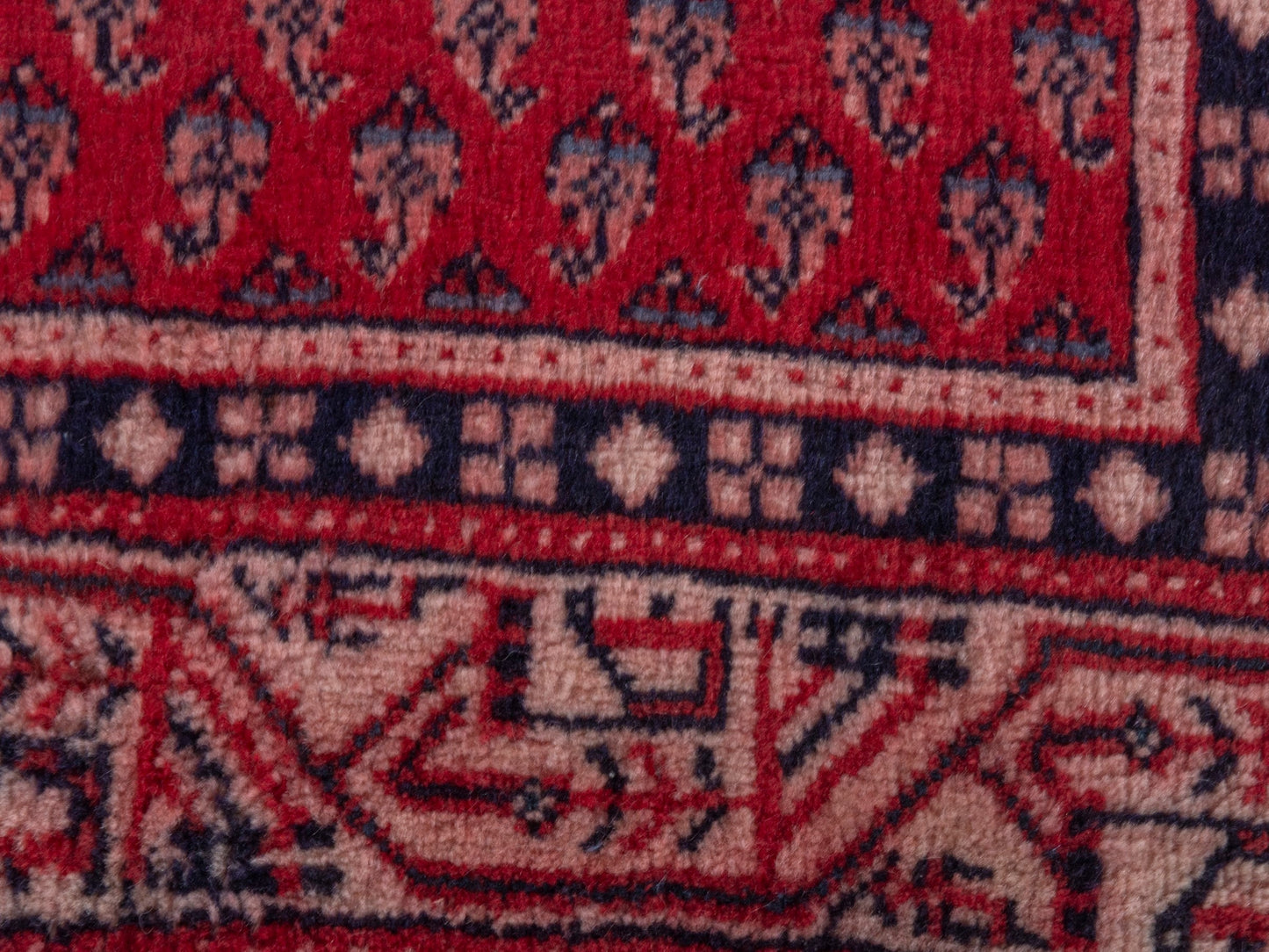 4377 - 2'11" x 9'10"