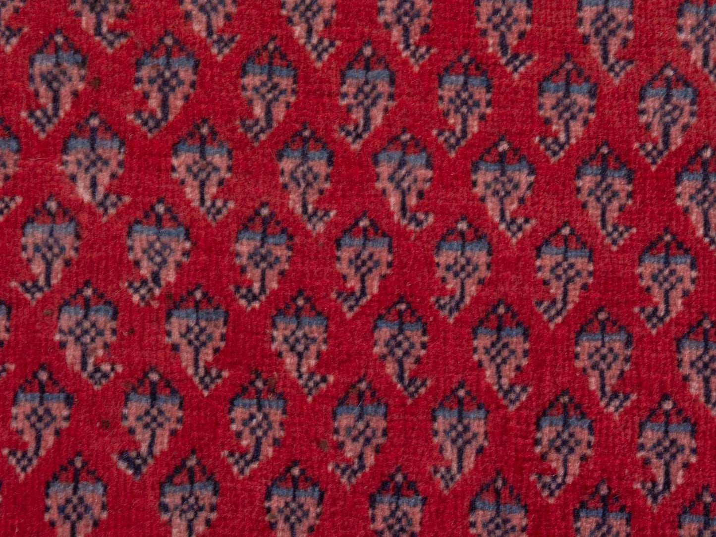 4377 - 2'11" x 9'10"