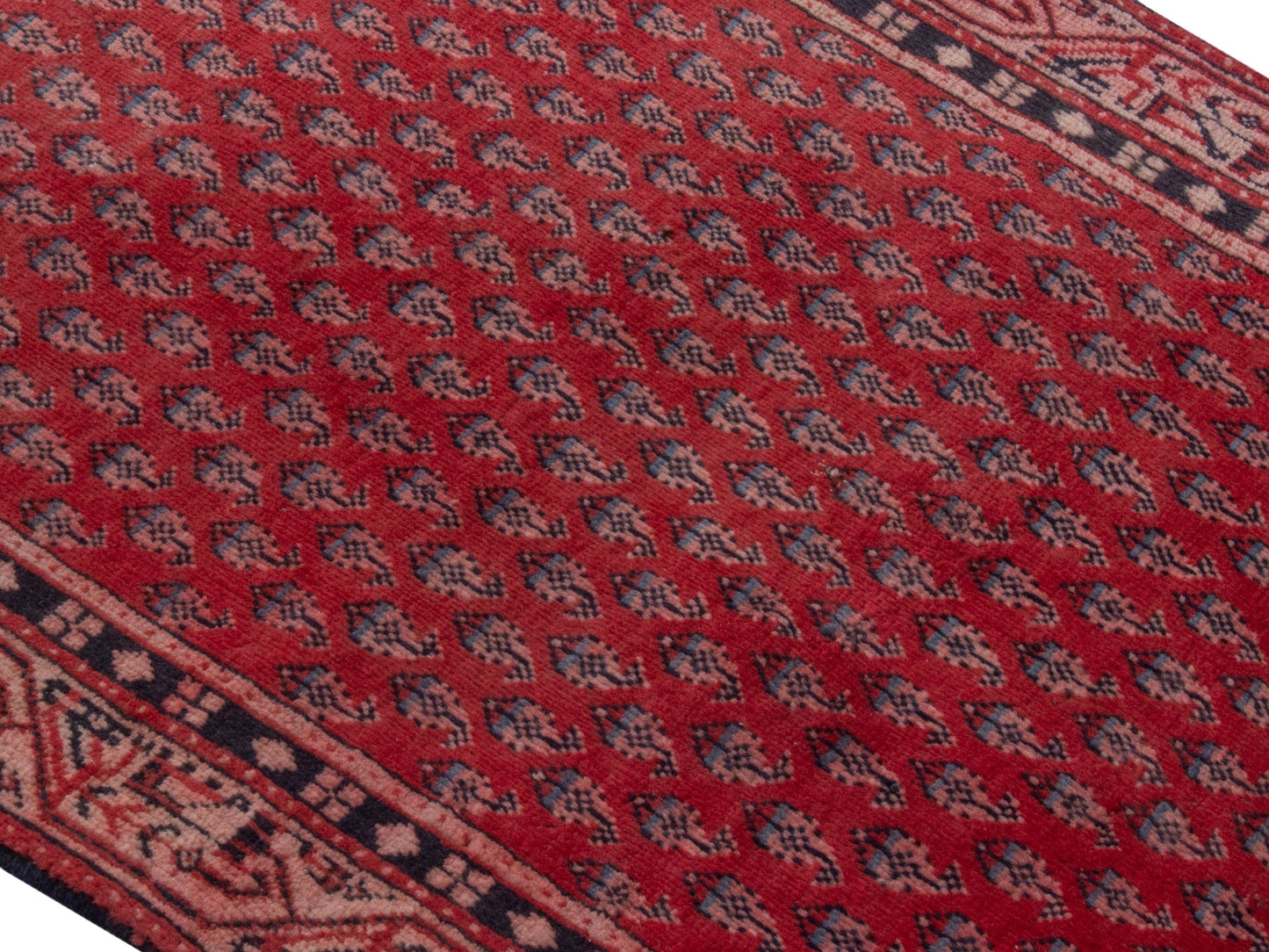 4377 - 2'11" x 9'10"