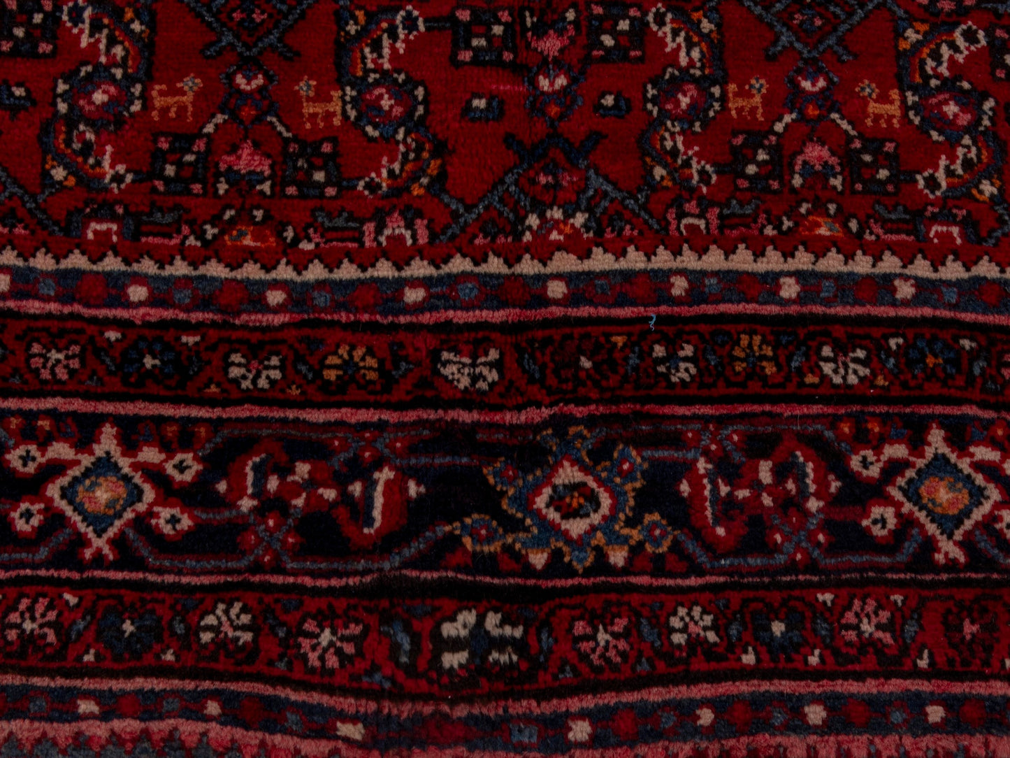 4704 - 6'9" x 10'10"