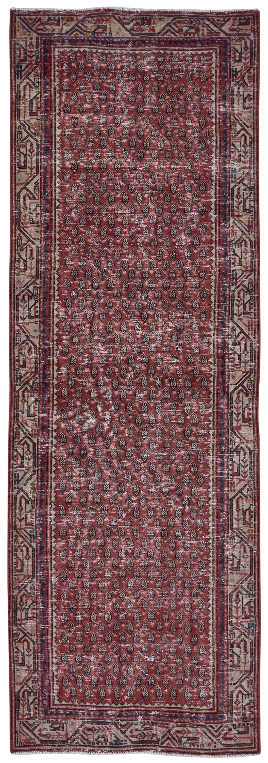 8225 - 3'1" x 9'4"