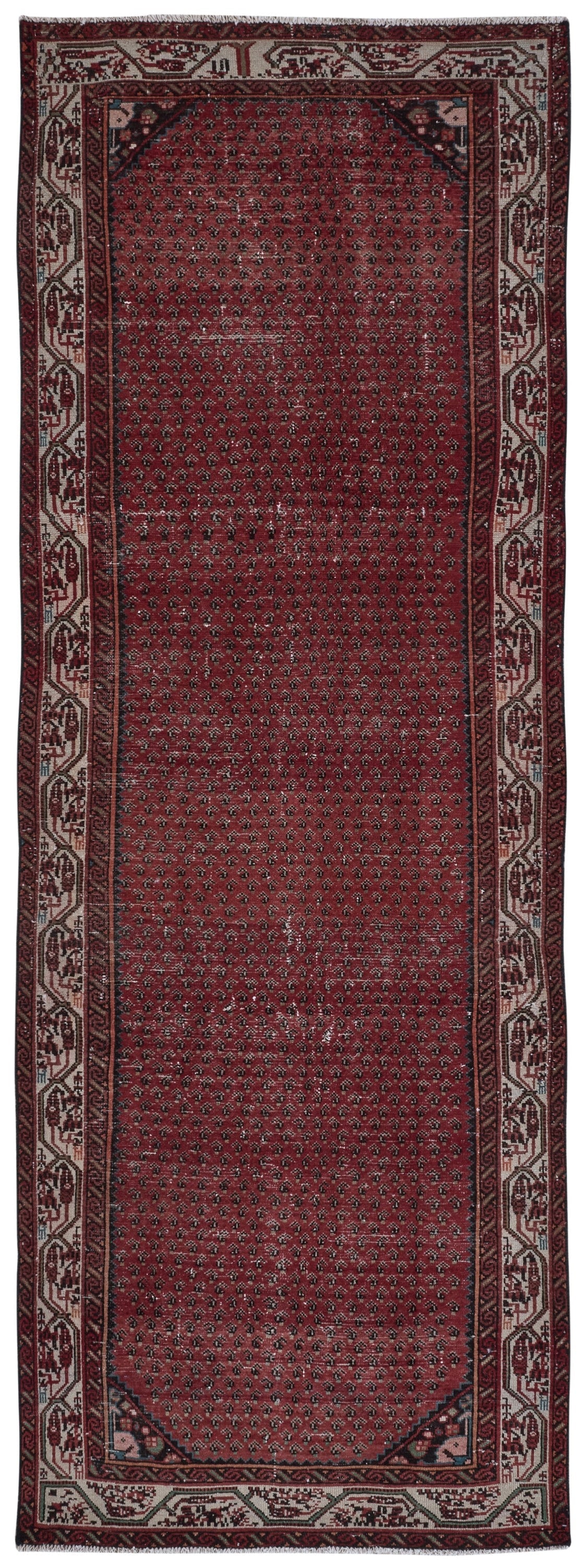 8234 - 3'8" x 10'4"