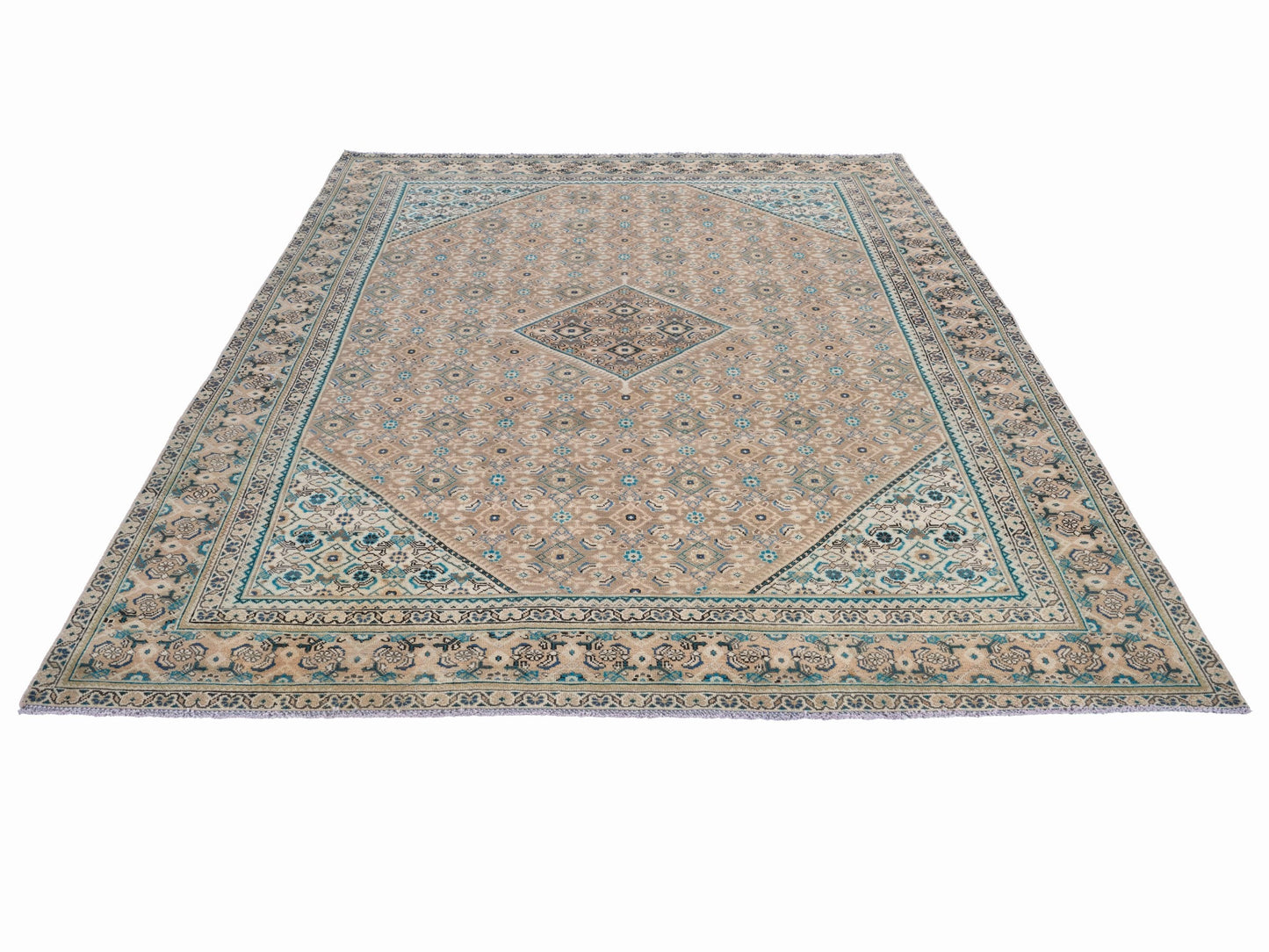 XL232 - 9'1" x 12'10"