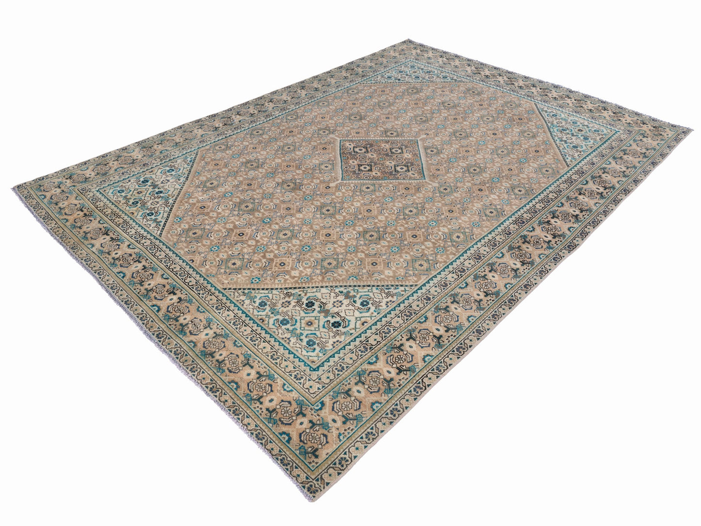 XL232 - 9'1" x 12'10"