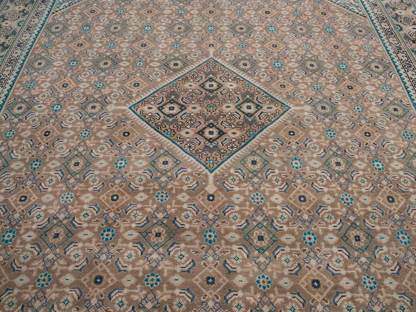 XL232 - 9'1" x 12'10"