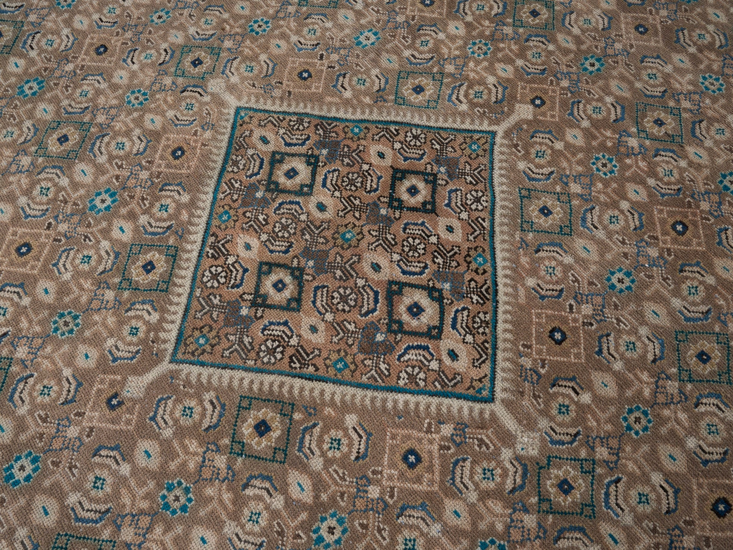 XL232 - 9'1" x 12'10"