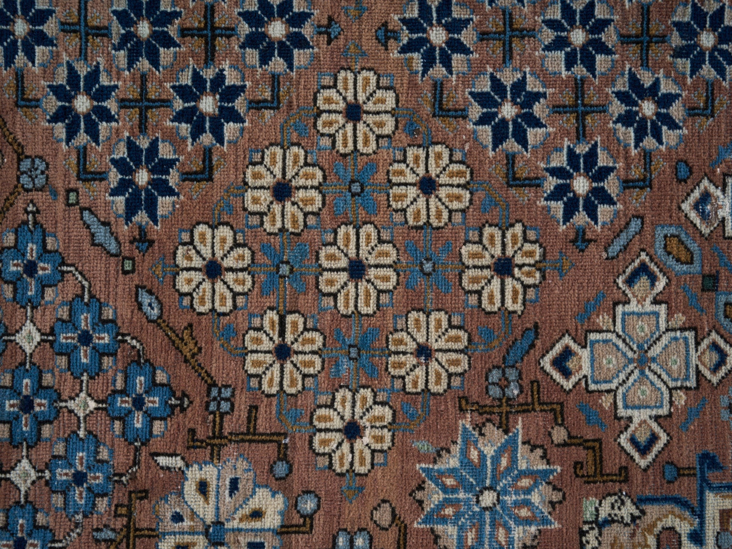 9002 - 9'2" x 12'10"