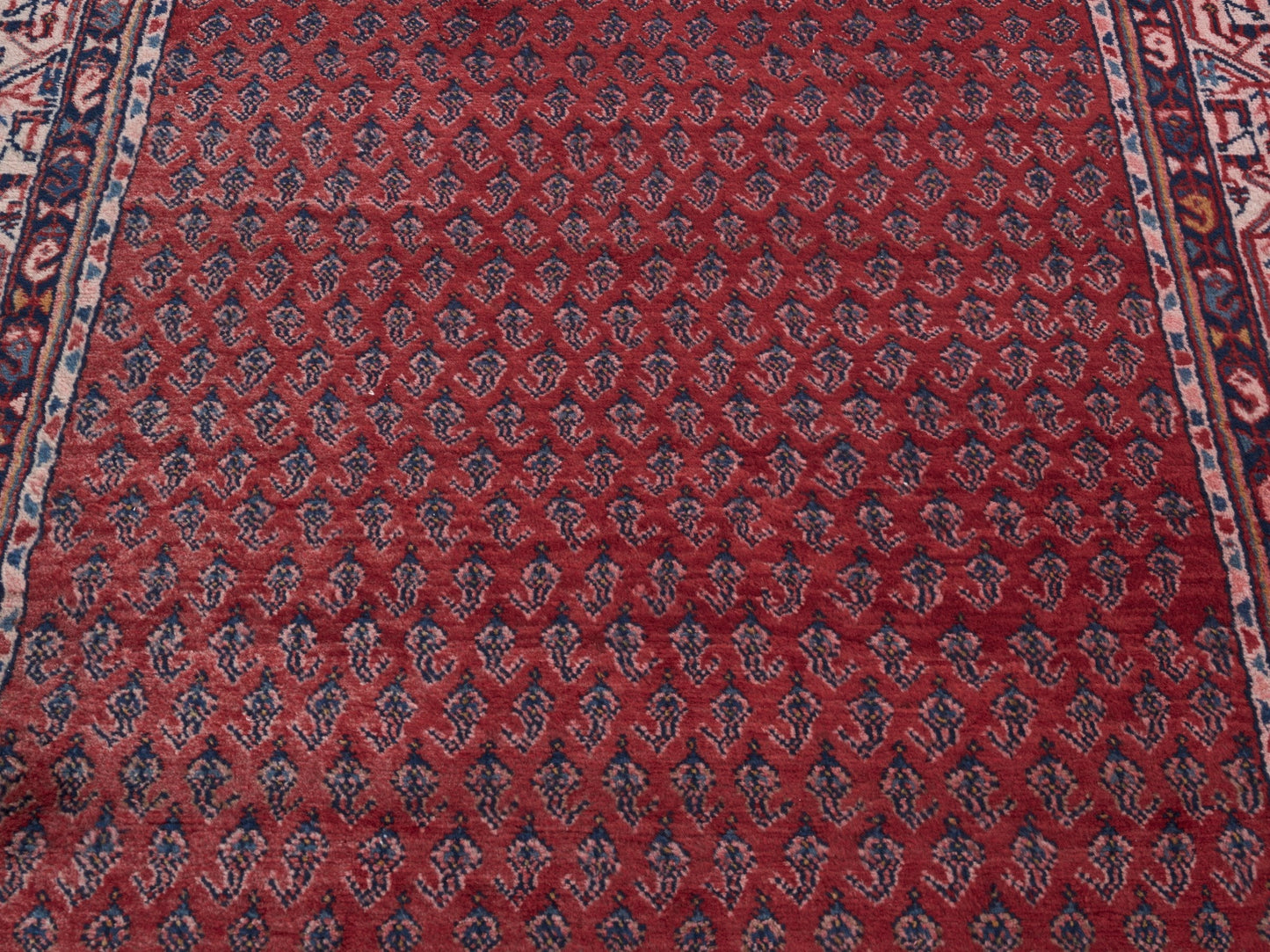 8310 - 3'11" x 10'9"