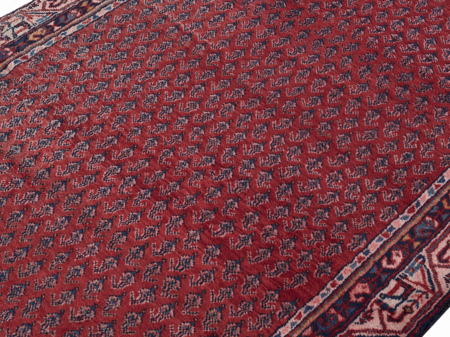 8310 - 3'11" x 10'9"