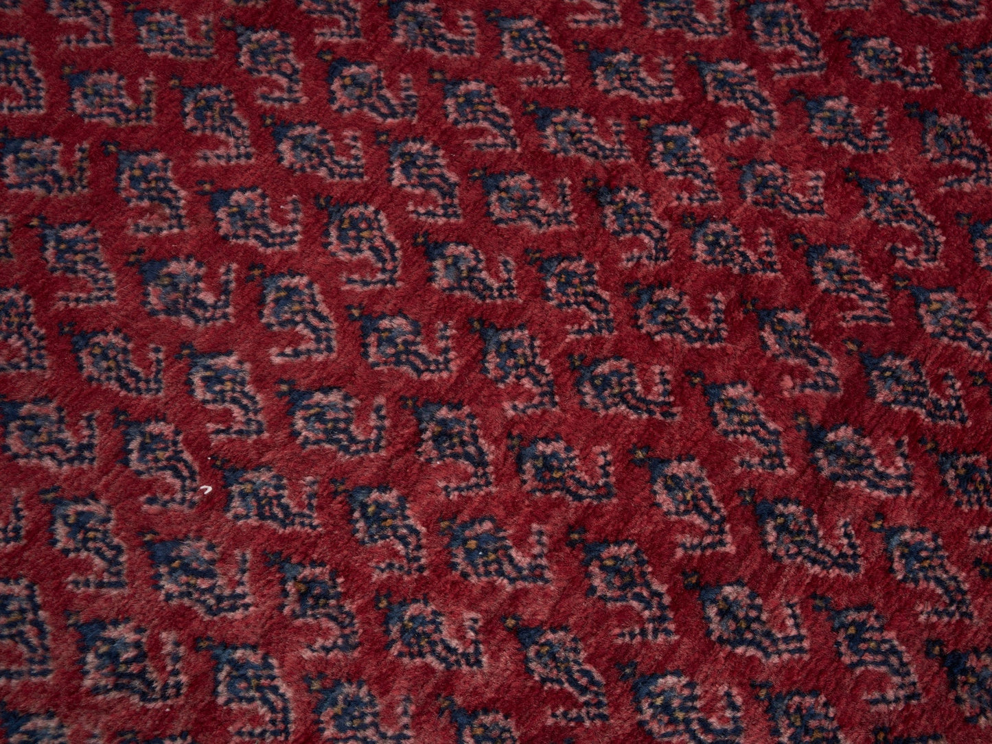 8310 - 3'11" x 10'9"