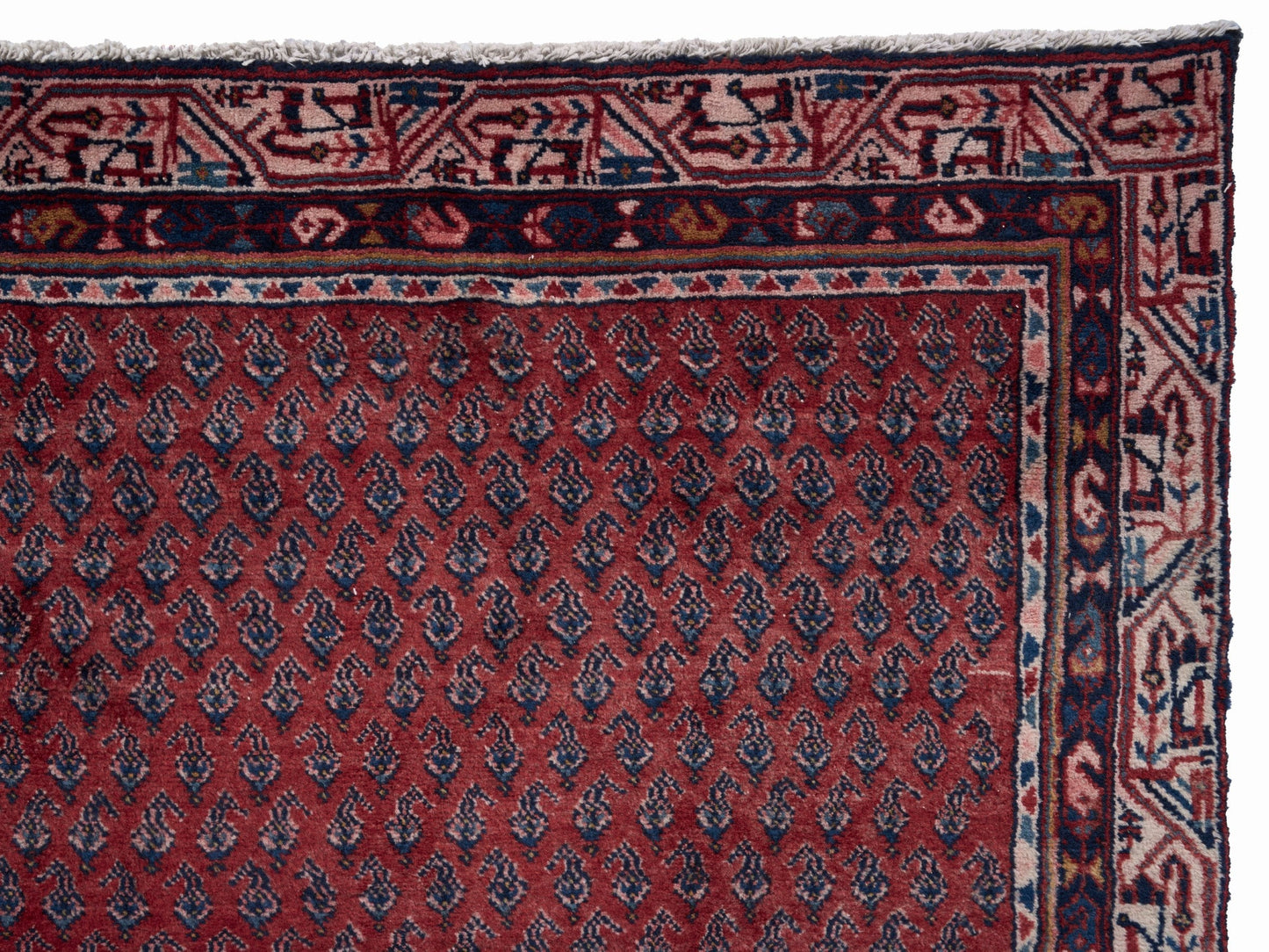 8310 - 3'11" x 10'9"