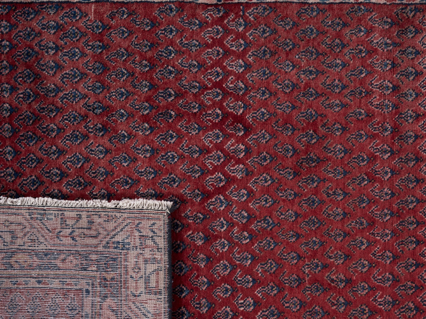 8310 - 3'11" x 10'9"