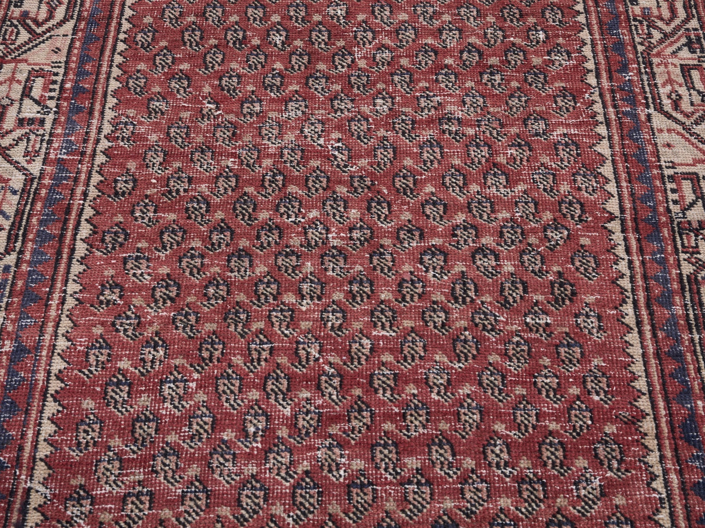 8225 - 3'1" x 9'4"