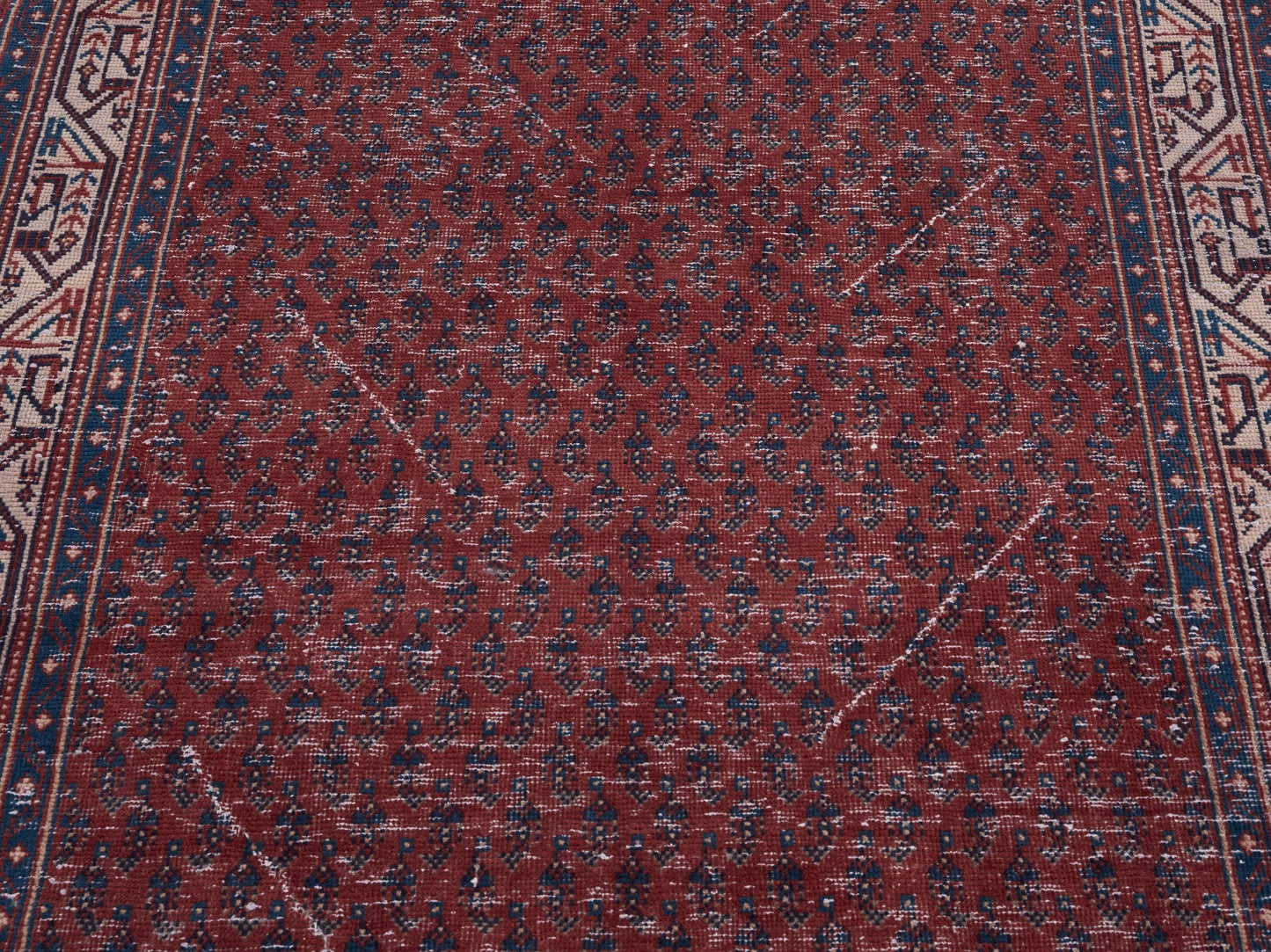 8236 - 3'3" x 10'4"