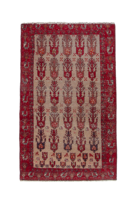 4773 - 3'3" x 5'5"