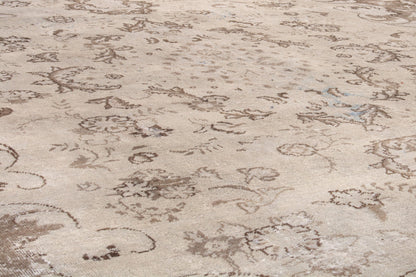 2033 - 8'5" x 11'10"