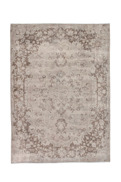 2033 - 8'5" x 11'10"