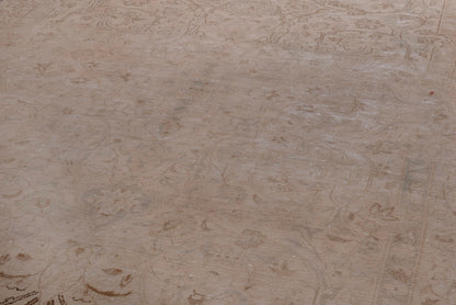 2041 - 5'11" x 10'2"