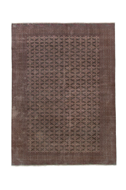 2493 - 7'11" x 10'8"