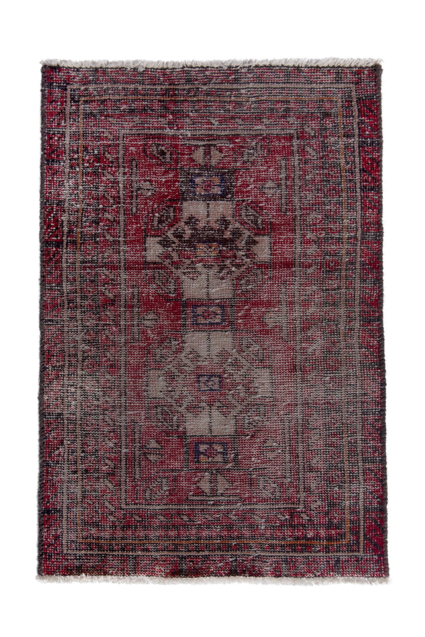 2624 - 1'10" x 2'11"