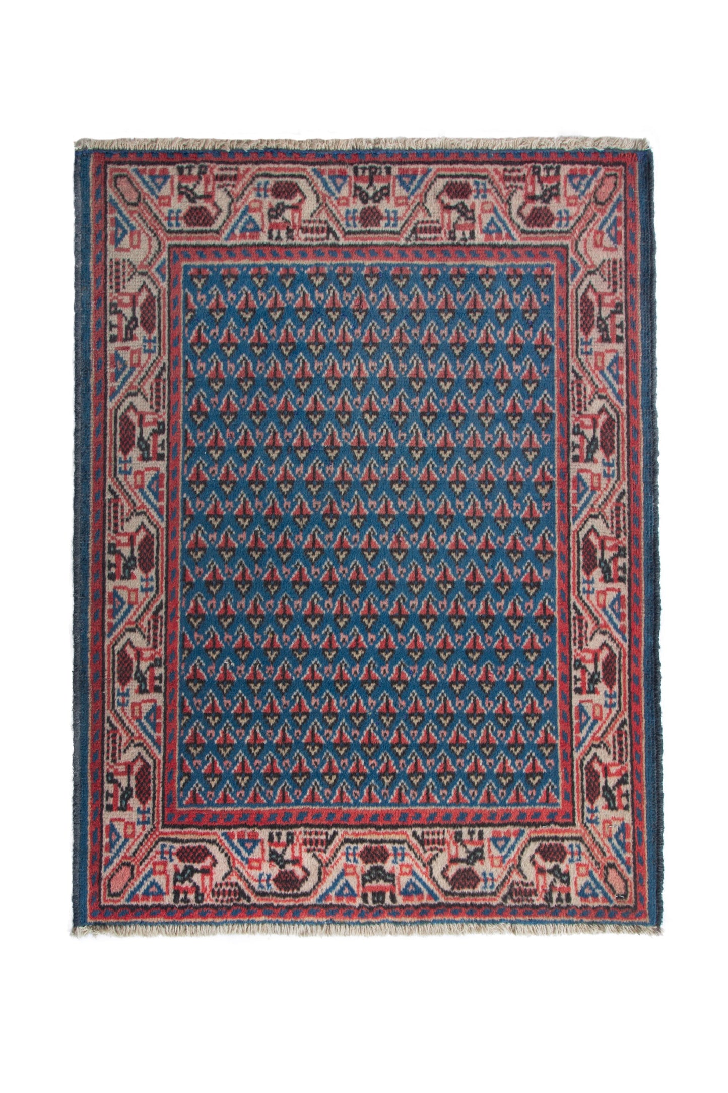 2843 - 2'1" x 2'4"