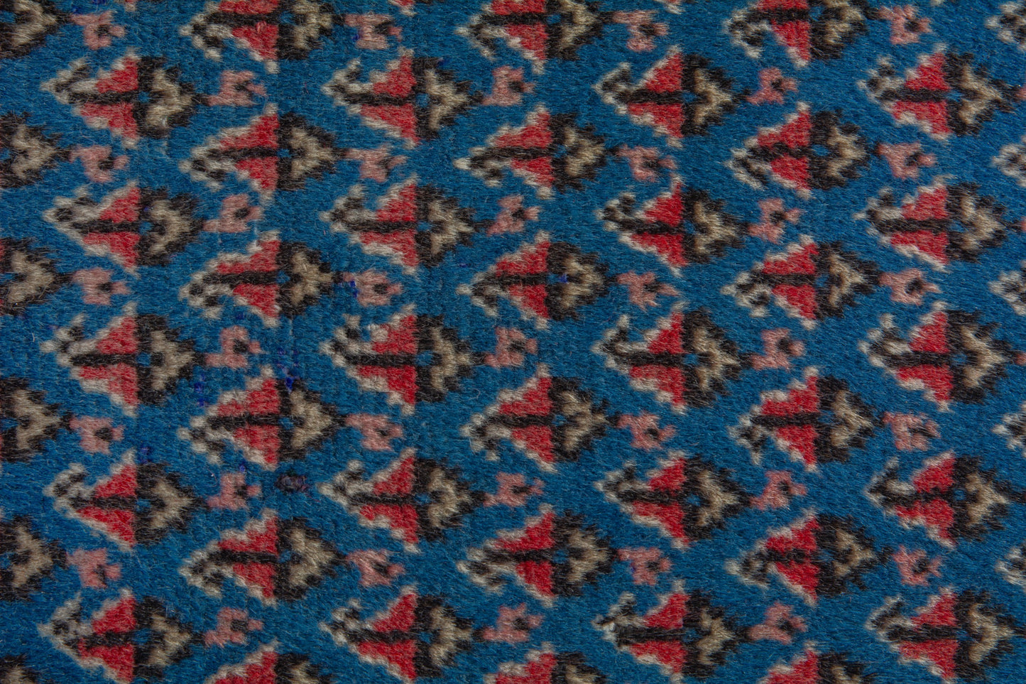 2843 - 2'1" x 2'4"