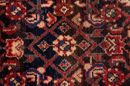 3131 - 3'11" x 8'10"