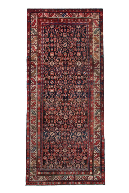 3131 - 3'11" x 8'10"