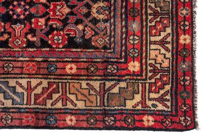 3131 - 3'11" x 8'10"